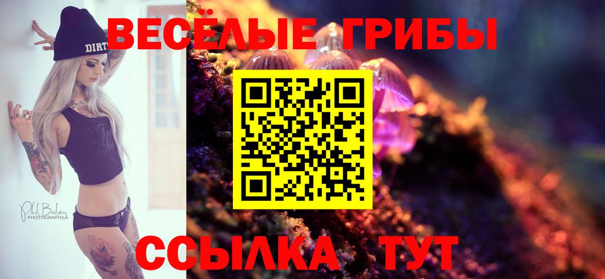 сколько стоит  Псилоцибиновые грибы Cubensis  Вход с VPN  Железноводск 