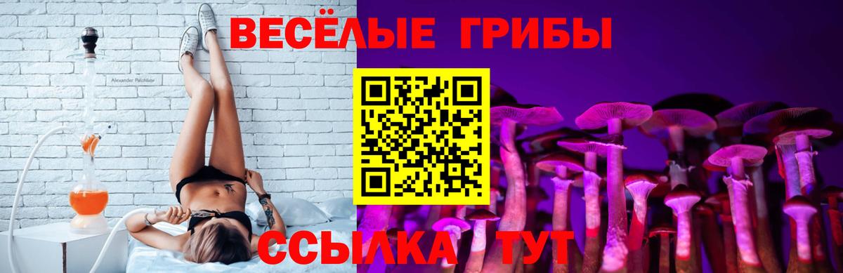 Псилоцибиновые грибы MAGIC MUSHROOMS Железноводск