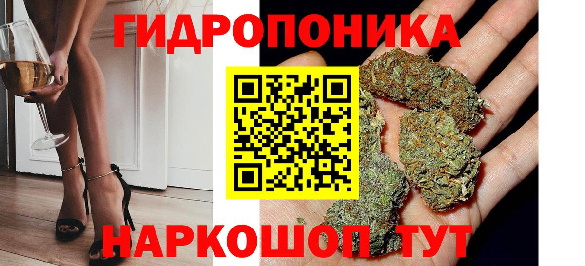 Бошки марихуана OG Kush  МАРИХУАНА OG Kush  Железноводск  МАРИХУАНА конопля  Вход с VPN 